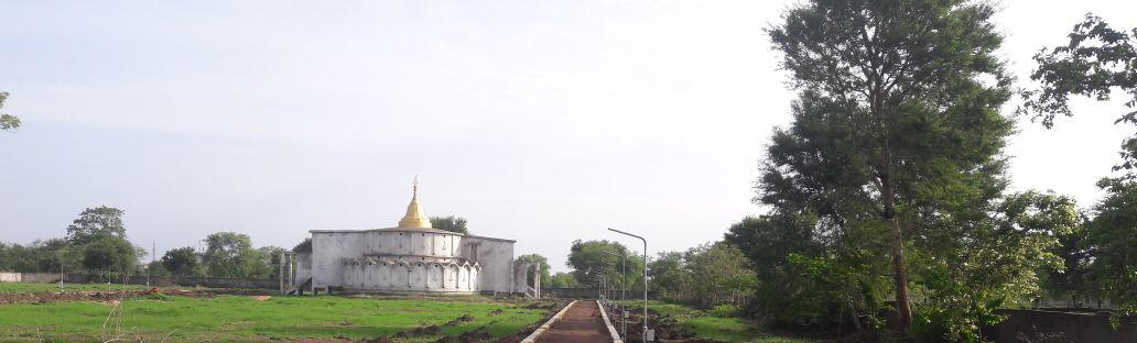 web development India, website developers in usa
